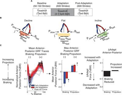 Large Propulsion Demands Increase Locomotor Adaptation at the Expense of Step Length Symmetry